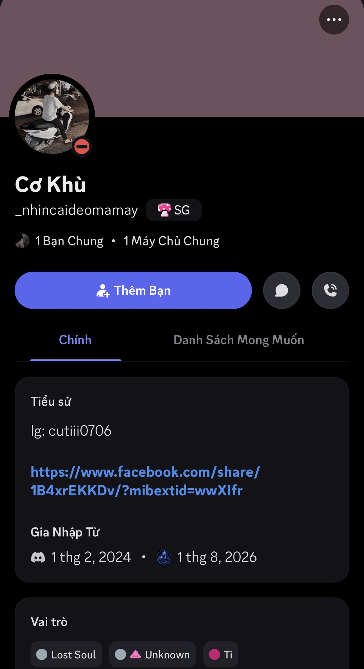 Discord profile 17