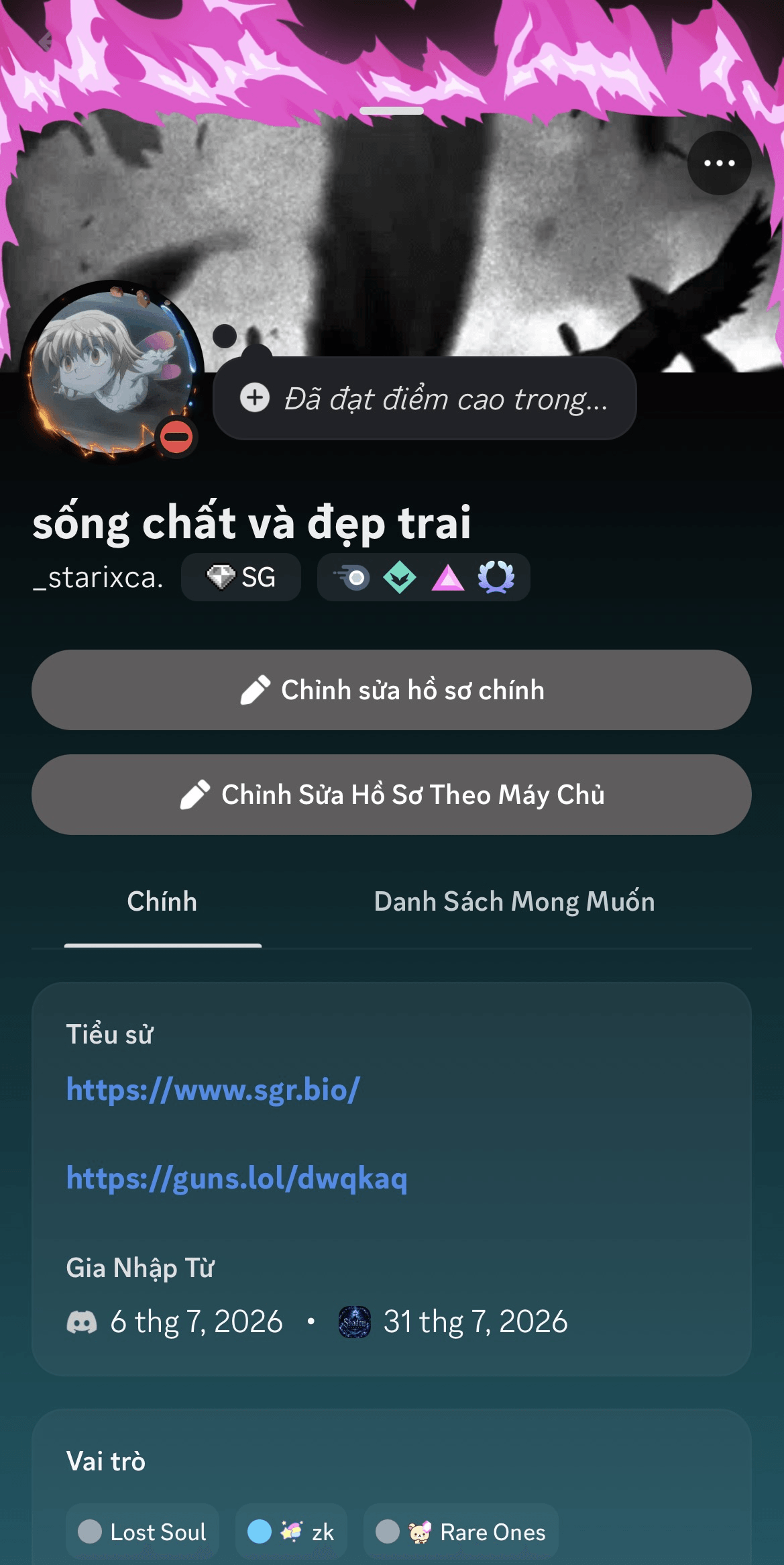 Discord profile 2