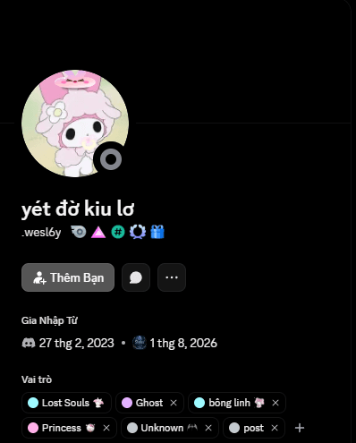 Discord profile 5
